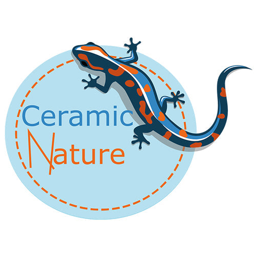 Ceramic Nature