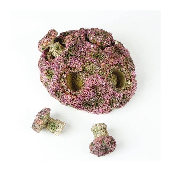 TMC Natureform - Coral Frag Plug Rock