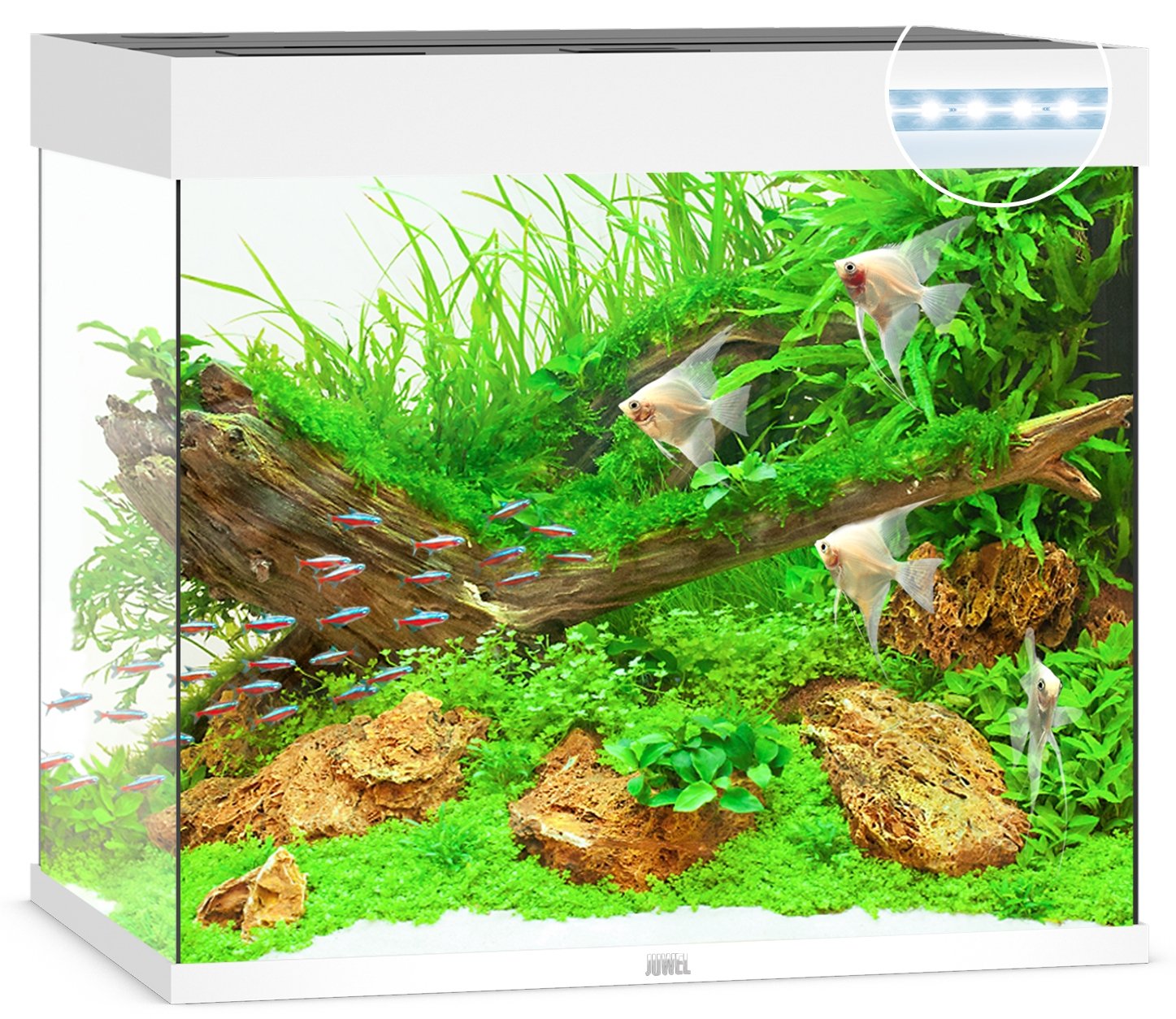 Juwel Aquariums Lido 200 Litre LED white (11942)