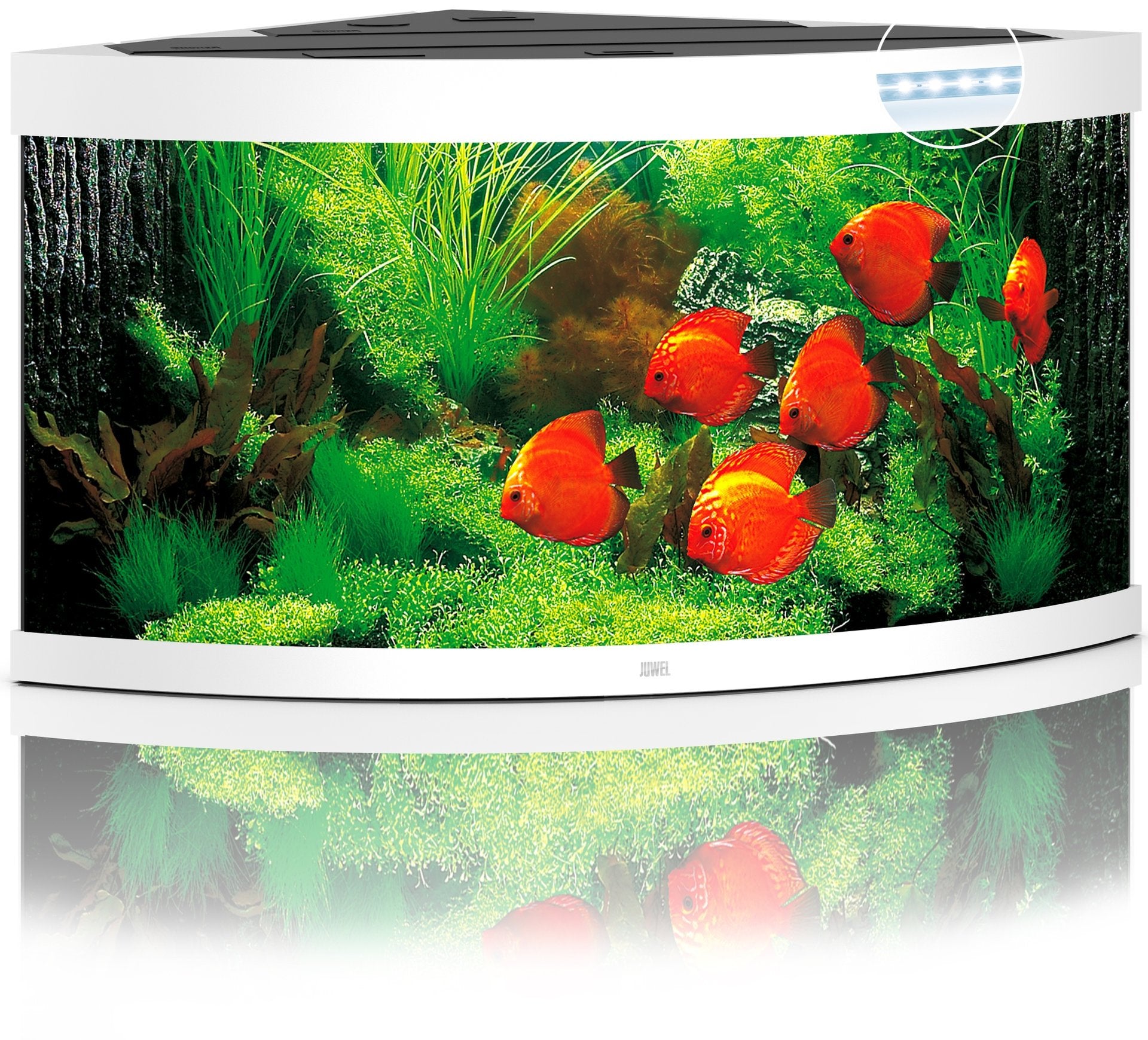 Juwel Aquariums Trigon 350 Litre LED white (15452)