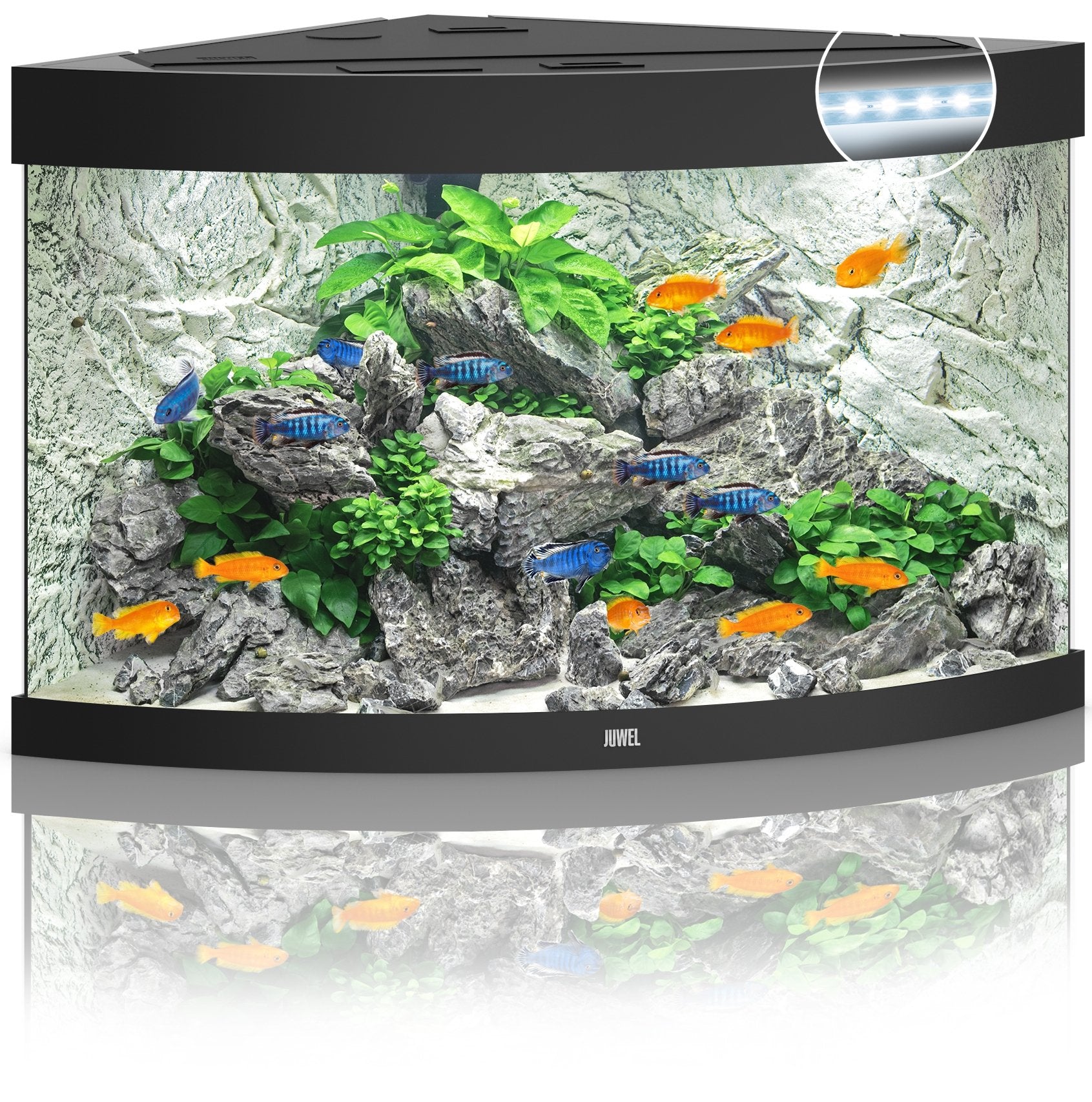 Juwel Aquariums Trigon 190 Litre LED black (16352)