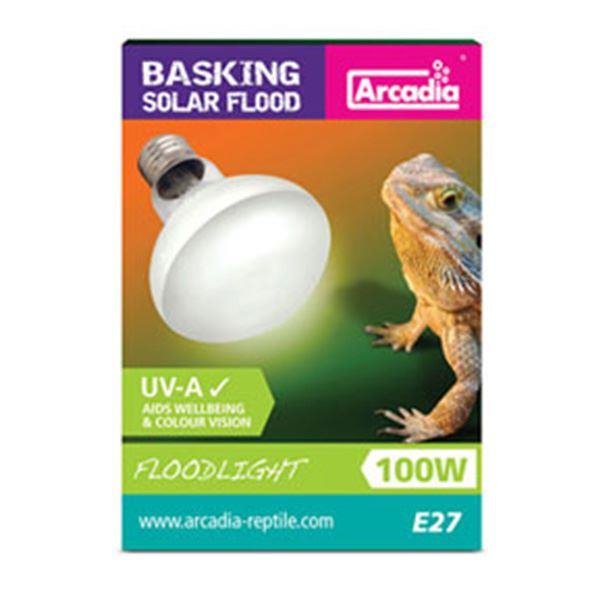 Arcadia Basking Solar Floodlight 3200K 100w