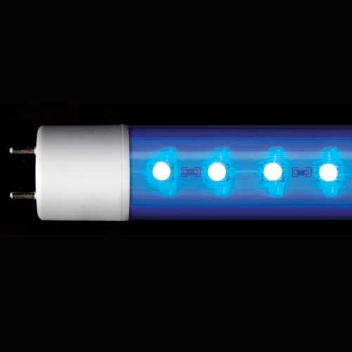 Arcadia T8 Marine Blue LED Tube Light 3W - 900mm