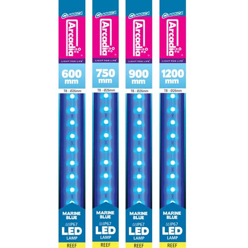 Arcadia T8 Marine Blue LED Tube Light 16W - 1050mm