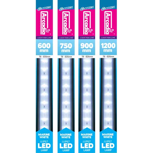 Arcadia T8 Marine White LED