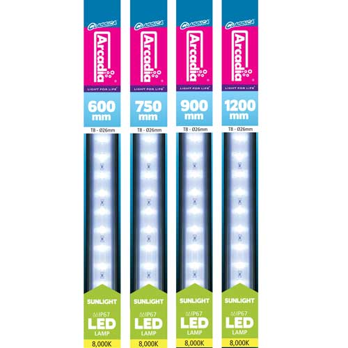 Arcadia T8 Sunlight LED Tube Light 1050mm / 36 watt (FFEES38)