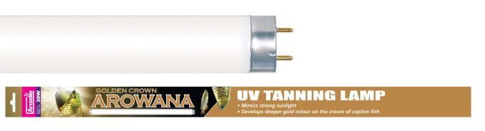 Arcadia Golden Crown Arowana 36W T8 (48"/1200mm) Light Set