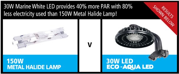 Eco Aqua 30W Aquarium LED Spotlight Freshwater