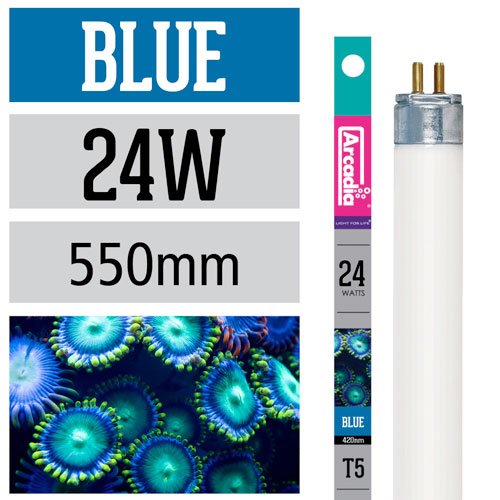 Arcadia T5 Marine Blue Actinic 24W - 550mm