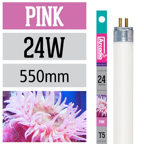 Arcadia T5 Marine Pink 24W - 550mm