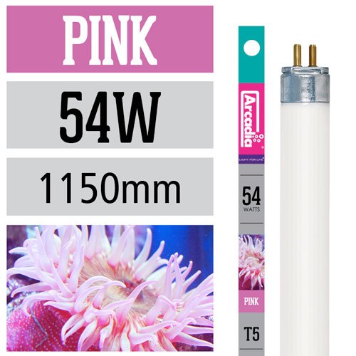 Arcadia T5 Marine Pink 54W - 1150mm