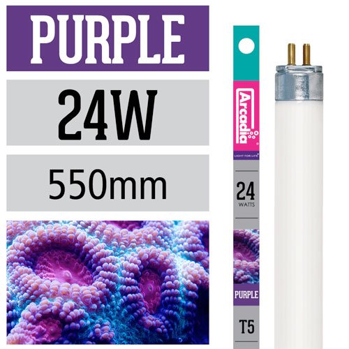 Arcadia T5 Marine Purple 24W - 550mm