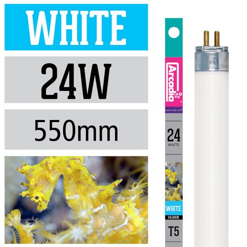 Arcadia T5 Marine Aquarium Tube Light White 24W - 550mm