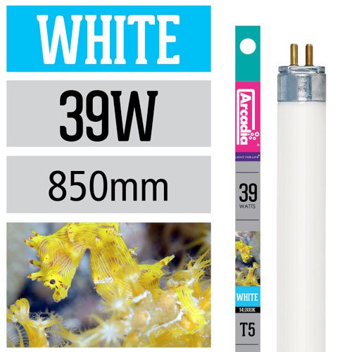 Arcadia T5 Marine Aquarium Tube Light White 39W - 850mm