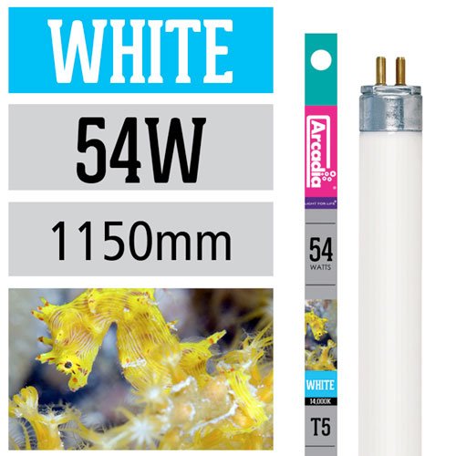 Arcadia T5 Marine Aquarium Tube Light White 54W - 1150mm