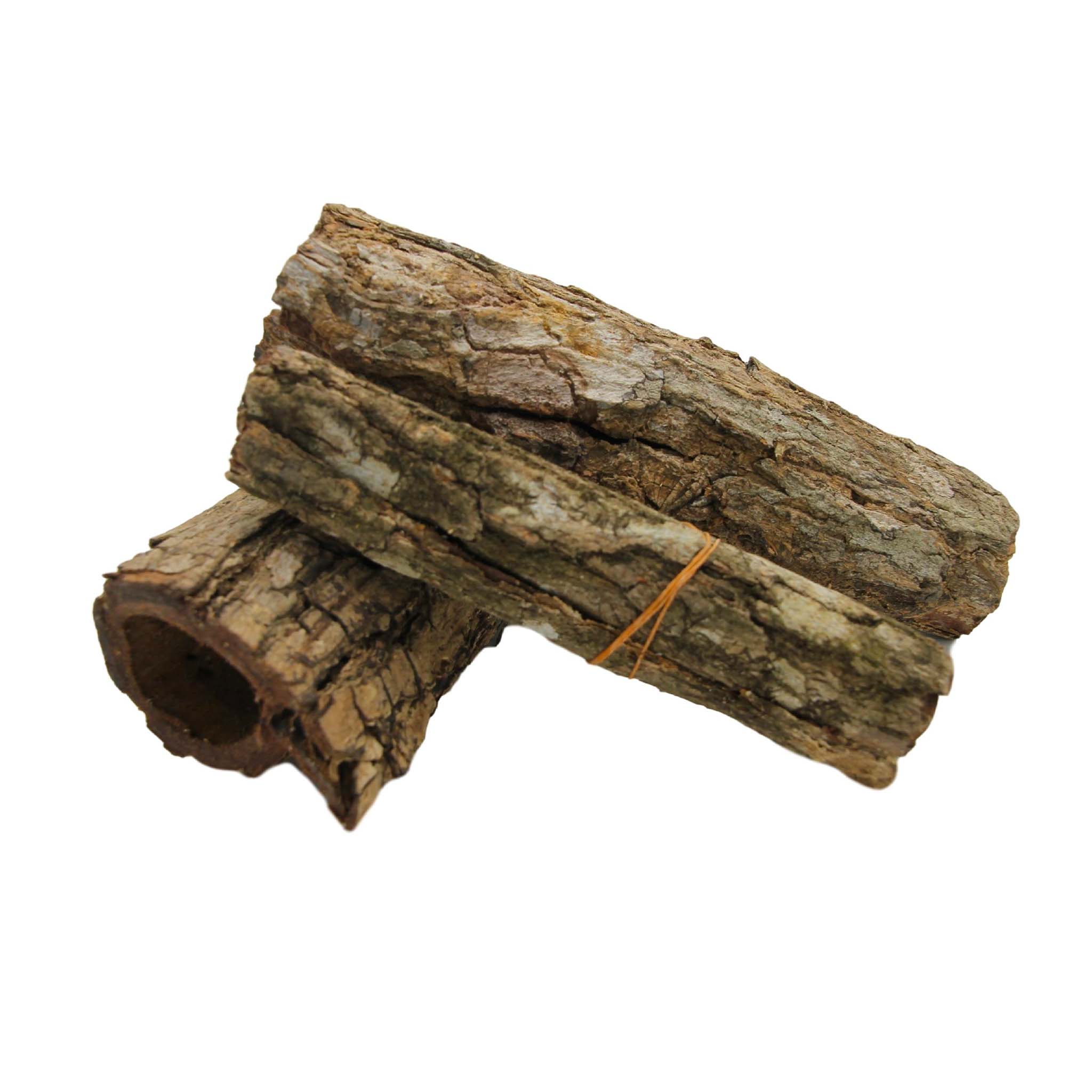 Catappa Bark Tubes x 1