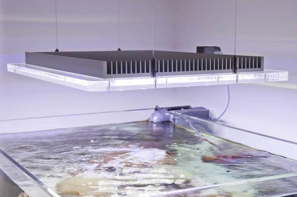 Sicce Professional LED Aquarium Lighting System Pro 60w