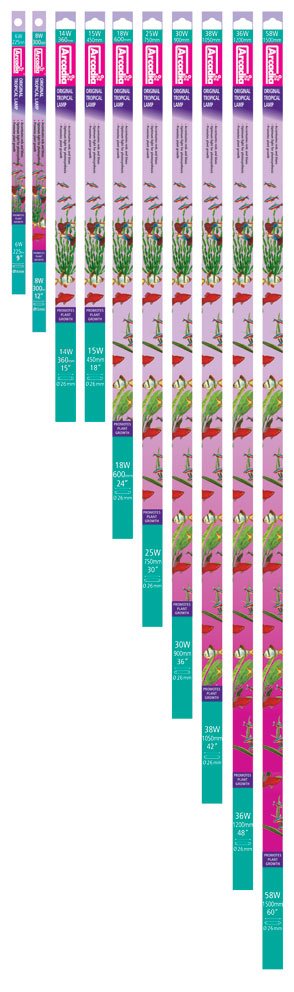 Arcadia T8 Original Tropical Light