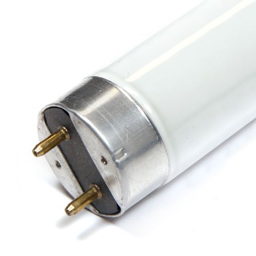 Arcadia T8 Freshwater replacement bulb