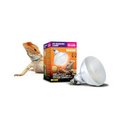 Arcadia D3 UV Basking Lamp 160W For Reptile Development