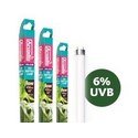 Arcadia D3 Reptile T5 Tube Light 24 Watt with 6% UVB
