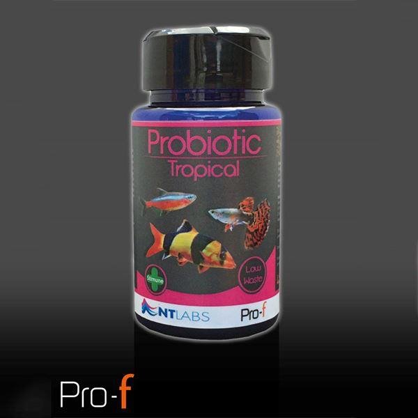 NT Pro-F Probiotic Tropical Fish Food 120g