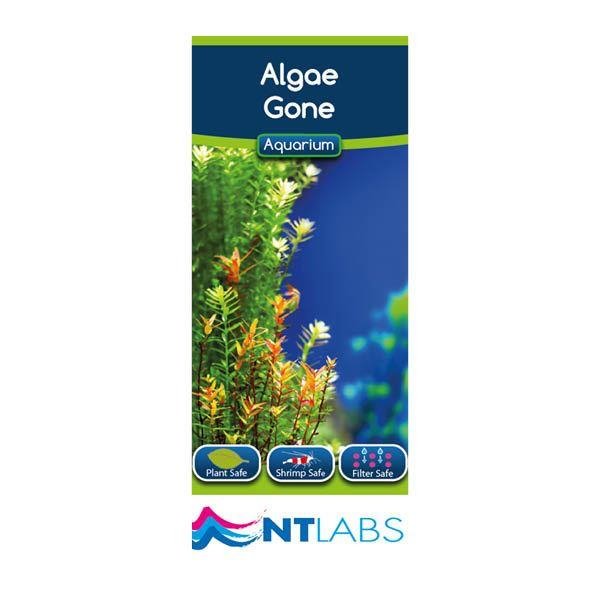 NT Aquarium Algae Gone 100ml