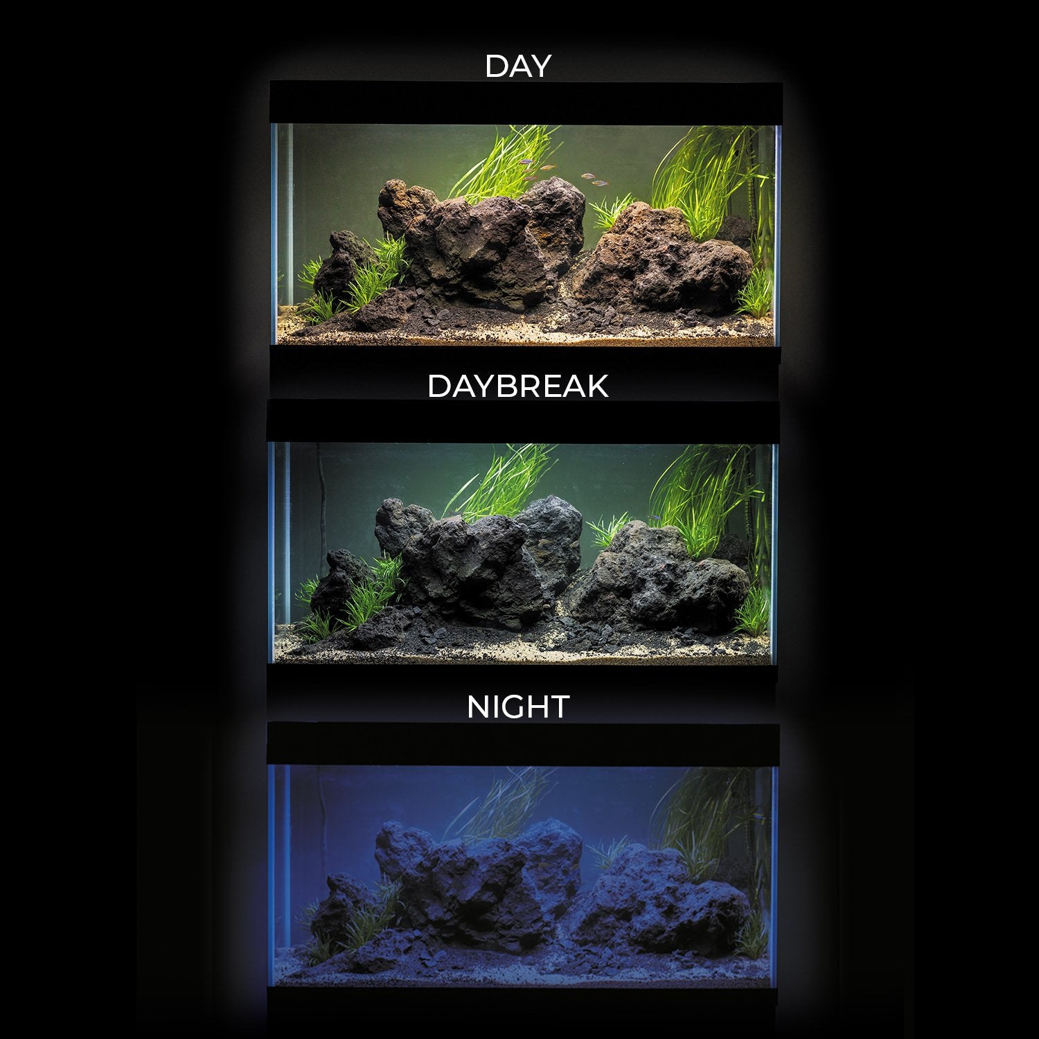 AquaEl OPTISET Aquariums & Cabinets (Black and White Options)