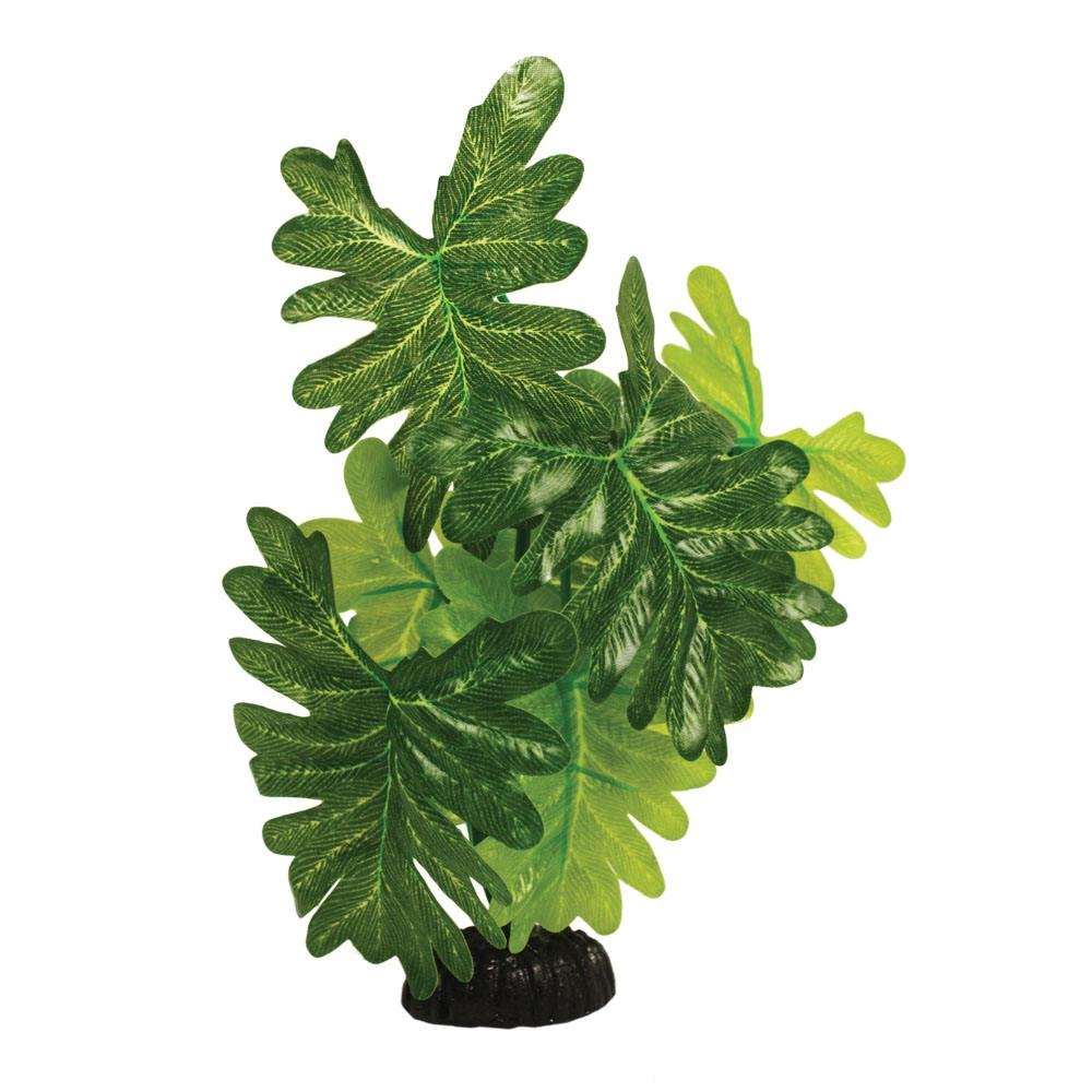 Hugo Kamishi Indian Fern Silk - Aquarium Plants