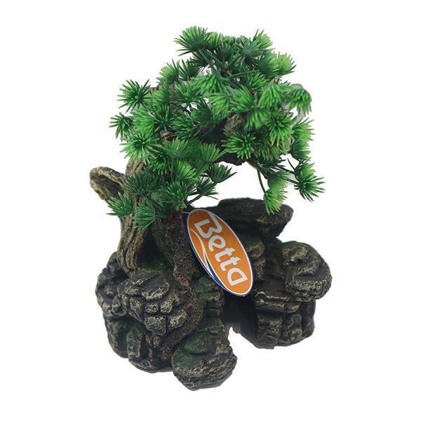 Medium Bonsai with Plant