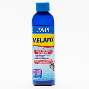 API Melafix Aquarium 473ml Antibacterial Fish Treatment