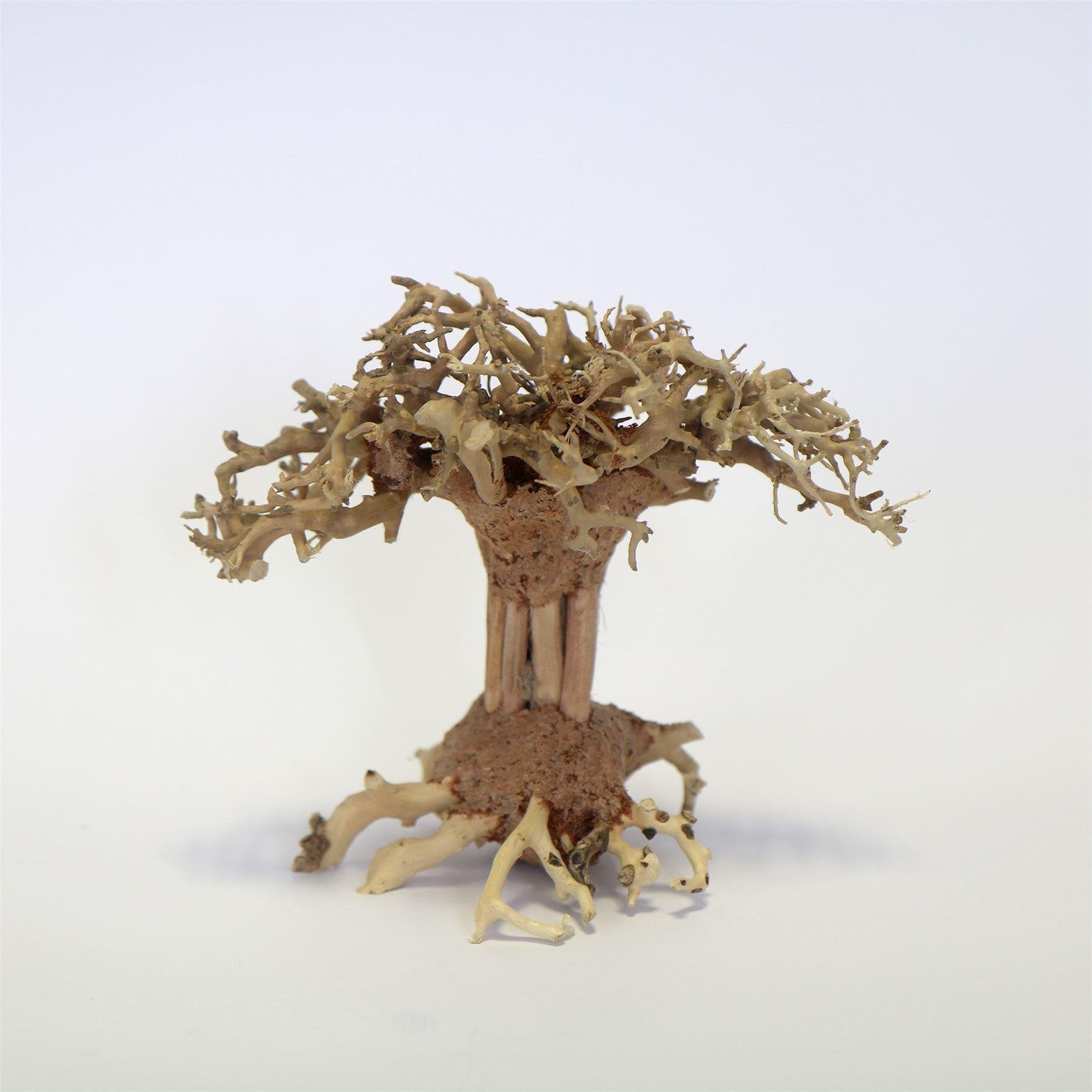 Pagoda Bonsai Wood Small Pc 10 x 15 x 10cm