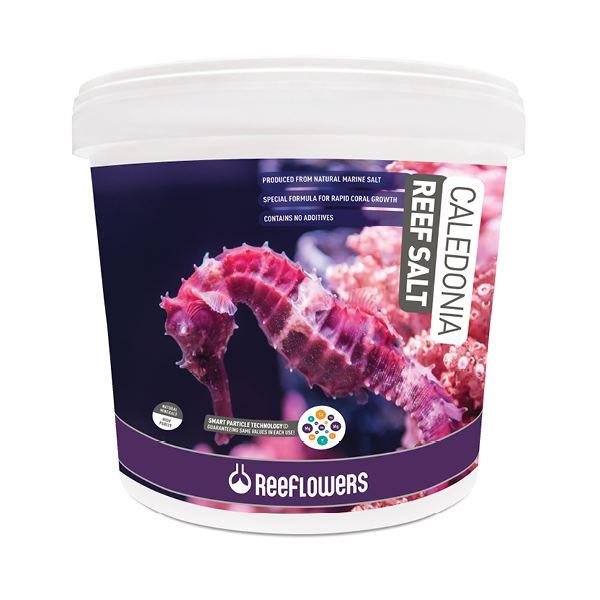 Reeflowers Caledonia Reef Salt 22.5kg Bucket