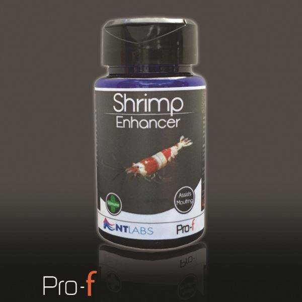 NT Pro-F Shrimp Enhancer 40g