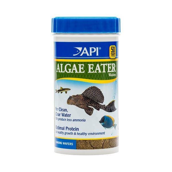 API Algae Wafers 181g 6.4oz