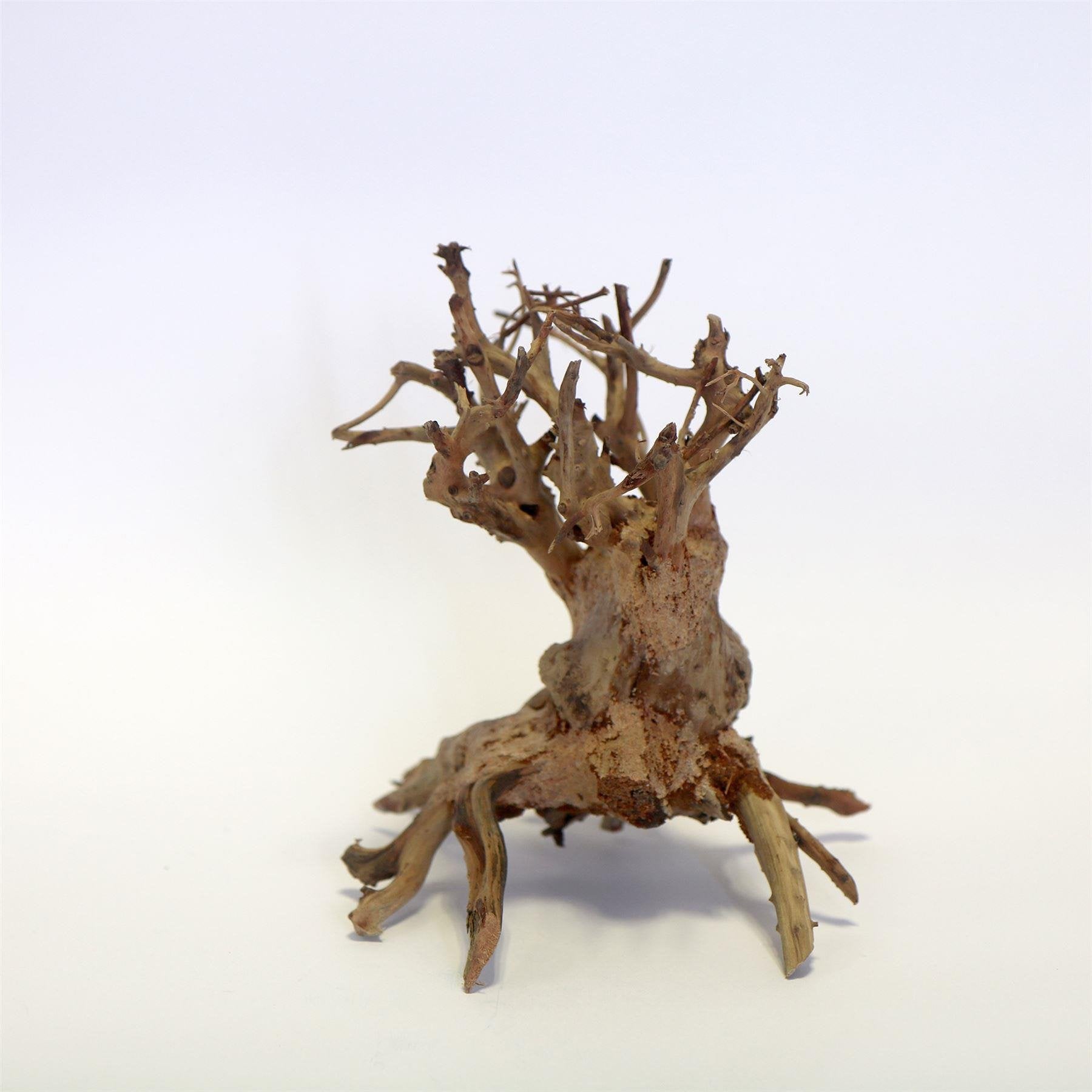 Cloud Bonsai Wood Small Piece 15 x 20 x 15cm