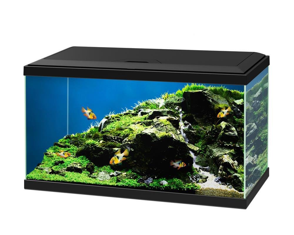 Ciano Aquarium 60 LED - Black (Including CF80 Filter, Heater & LED Lighting) 58 Litre