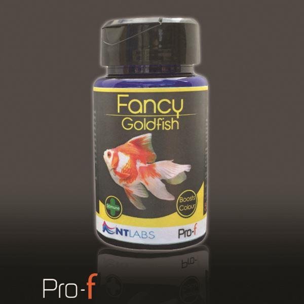 NT Pro-F Fancy Goldfish 1.7kg