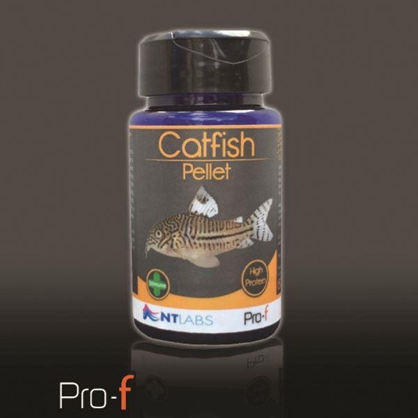 NT Pro-F Catfish Pellet 60g