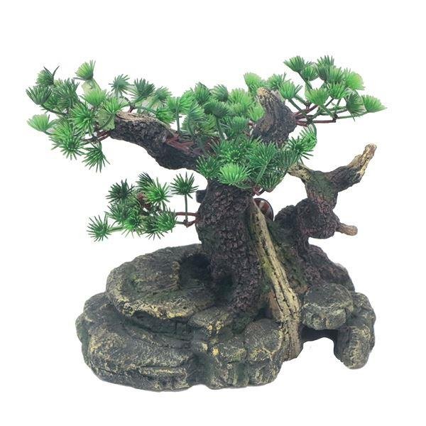 Large Bonsai with Plant