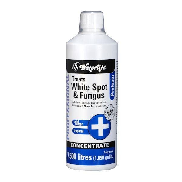 Waterlife Protozin 1L Bulk Bottle – Warehouse Aquatics