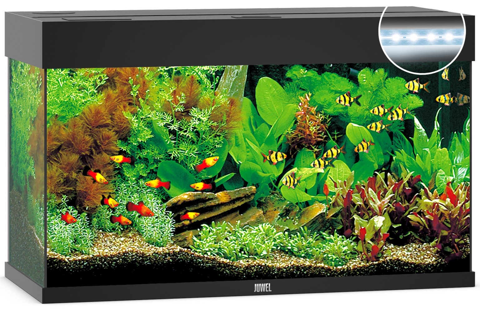 Juwel Aquariums Rio 125 Litre LED black (01352)