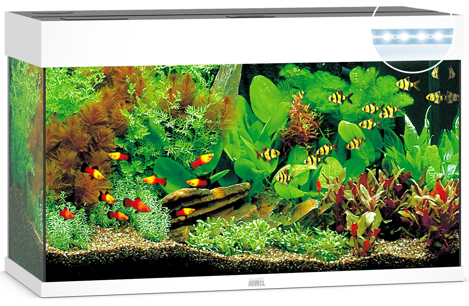 Juwel Aquariums Rio 125 Litre LED white (01452)