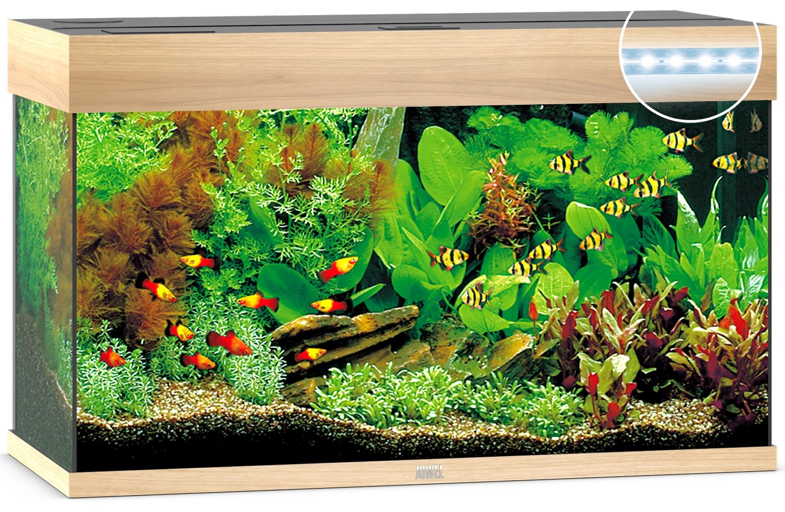 Juwel Aquariums Rio 125 Litre LED light wood (01852)