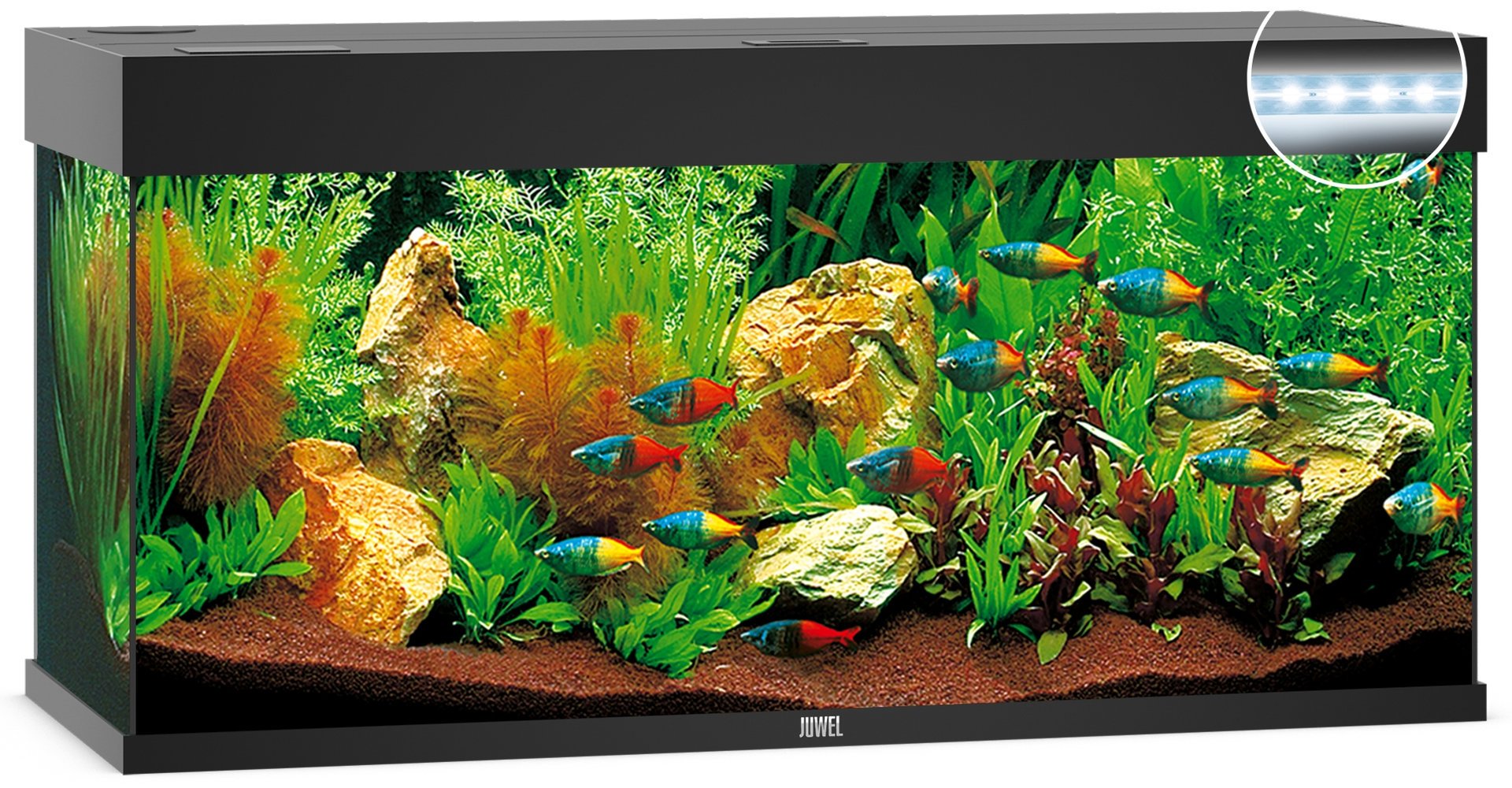 Juwel Aquariums Rio 240 Litre LED black (03352)