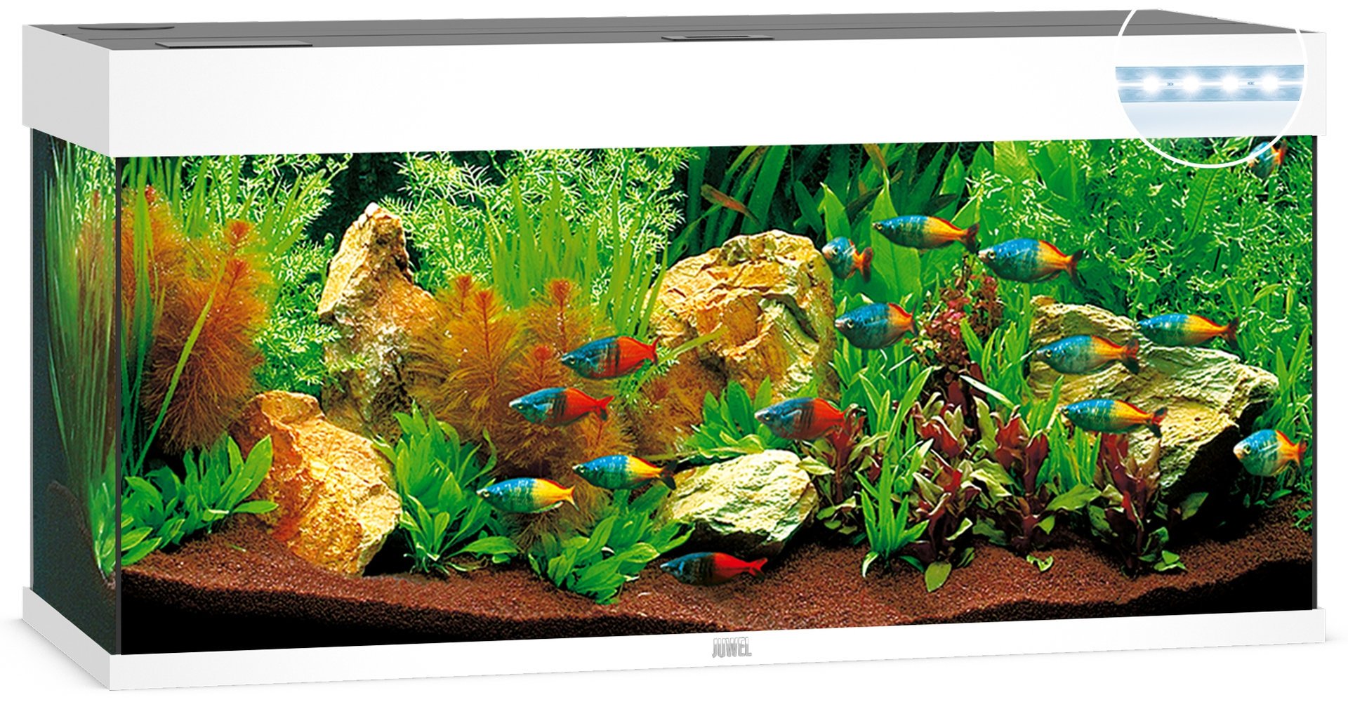 Juwel Aquariums Rio 240 Litre LED white (03452)