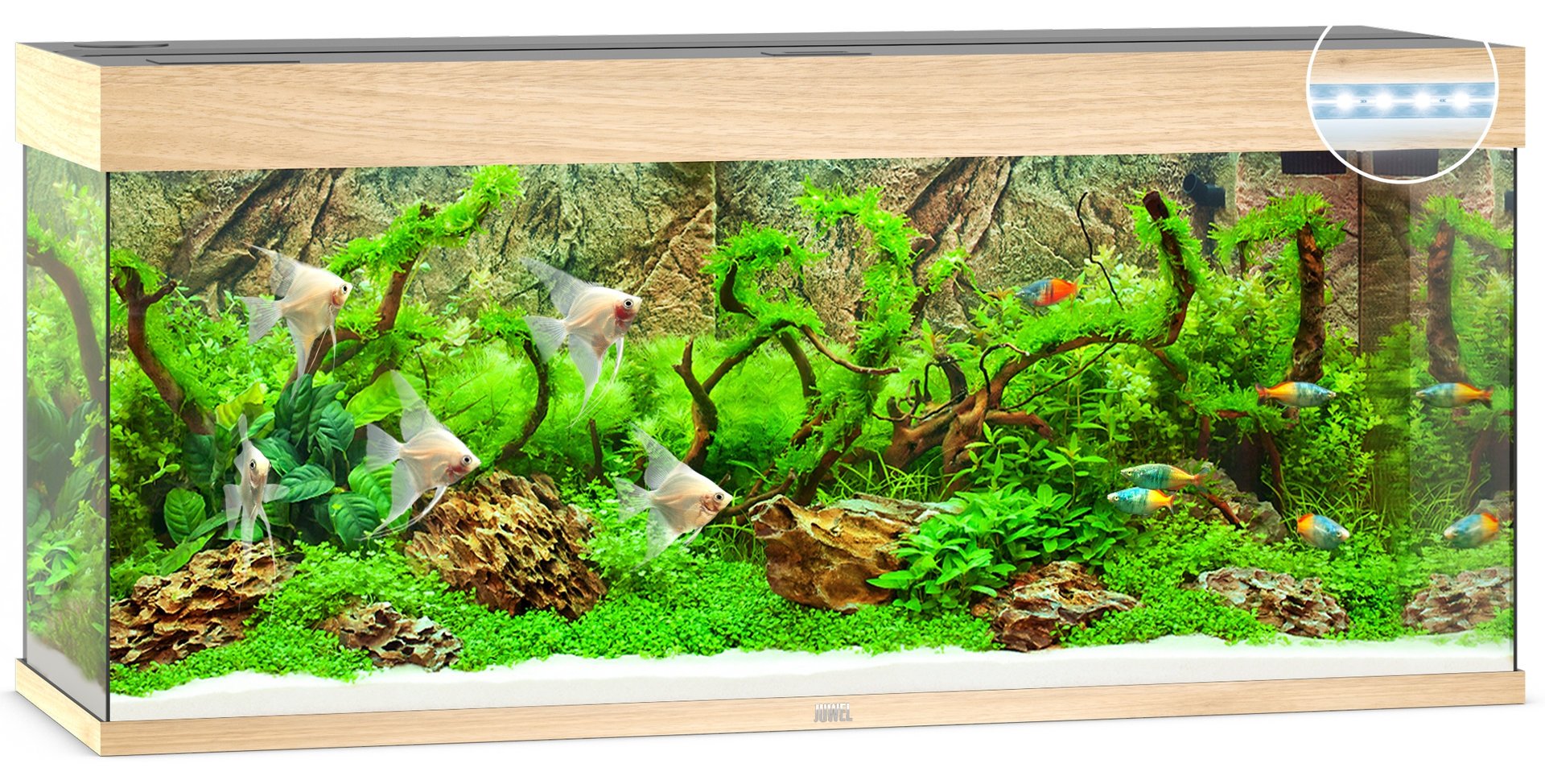 Juwel Aquariums Rio 240 Litre LED light wood (03852)