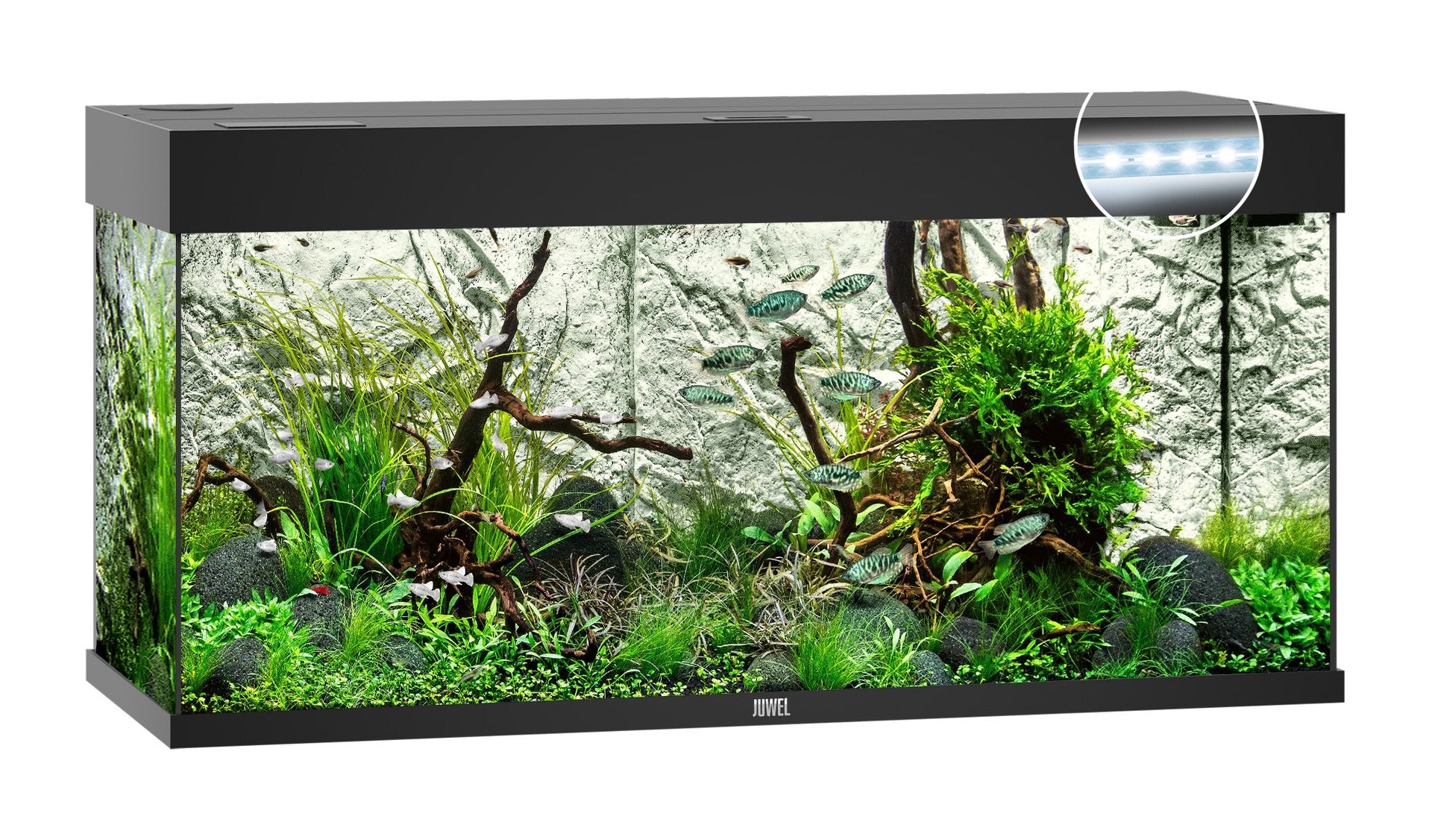 Juwel Aquariums Rio 180 Litre LED black (04352)