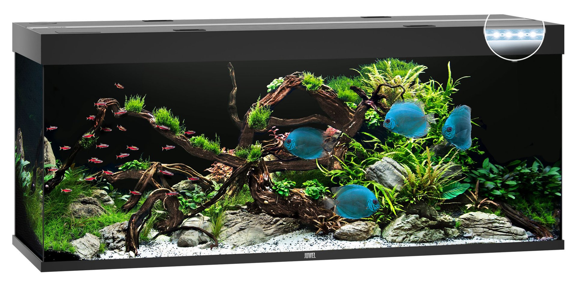 Juwel Aquariums Rio 450 Litre LED black (05352)