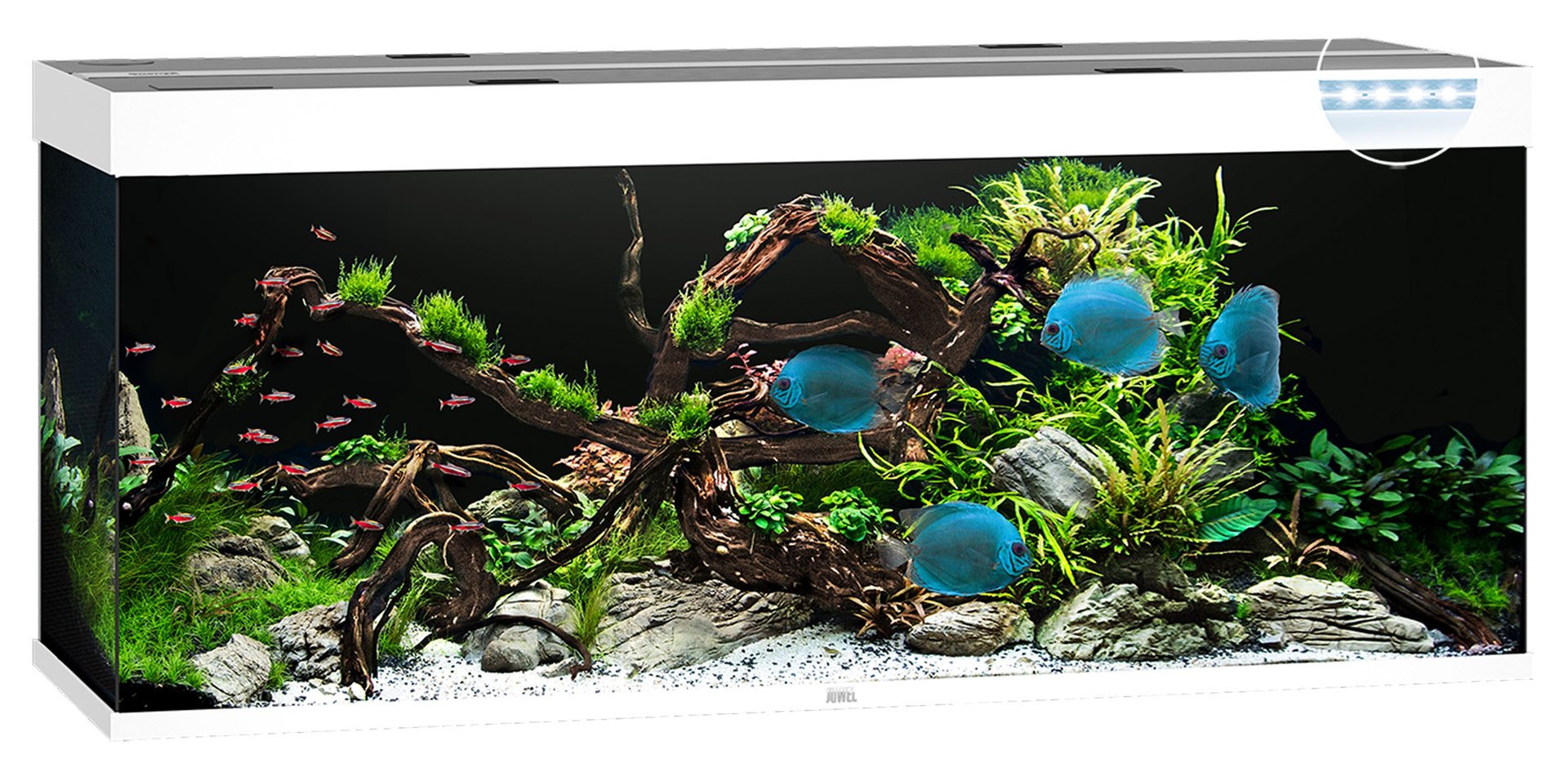 Juwel Aquariums Rio 450 Litre LED white (05452)